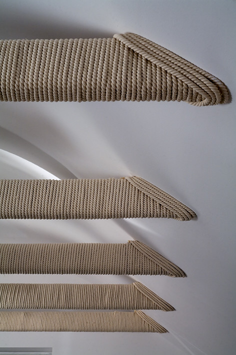 "Чердак для Чемпионов" для программы "Дачный ответ" на НТВ