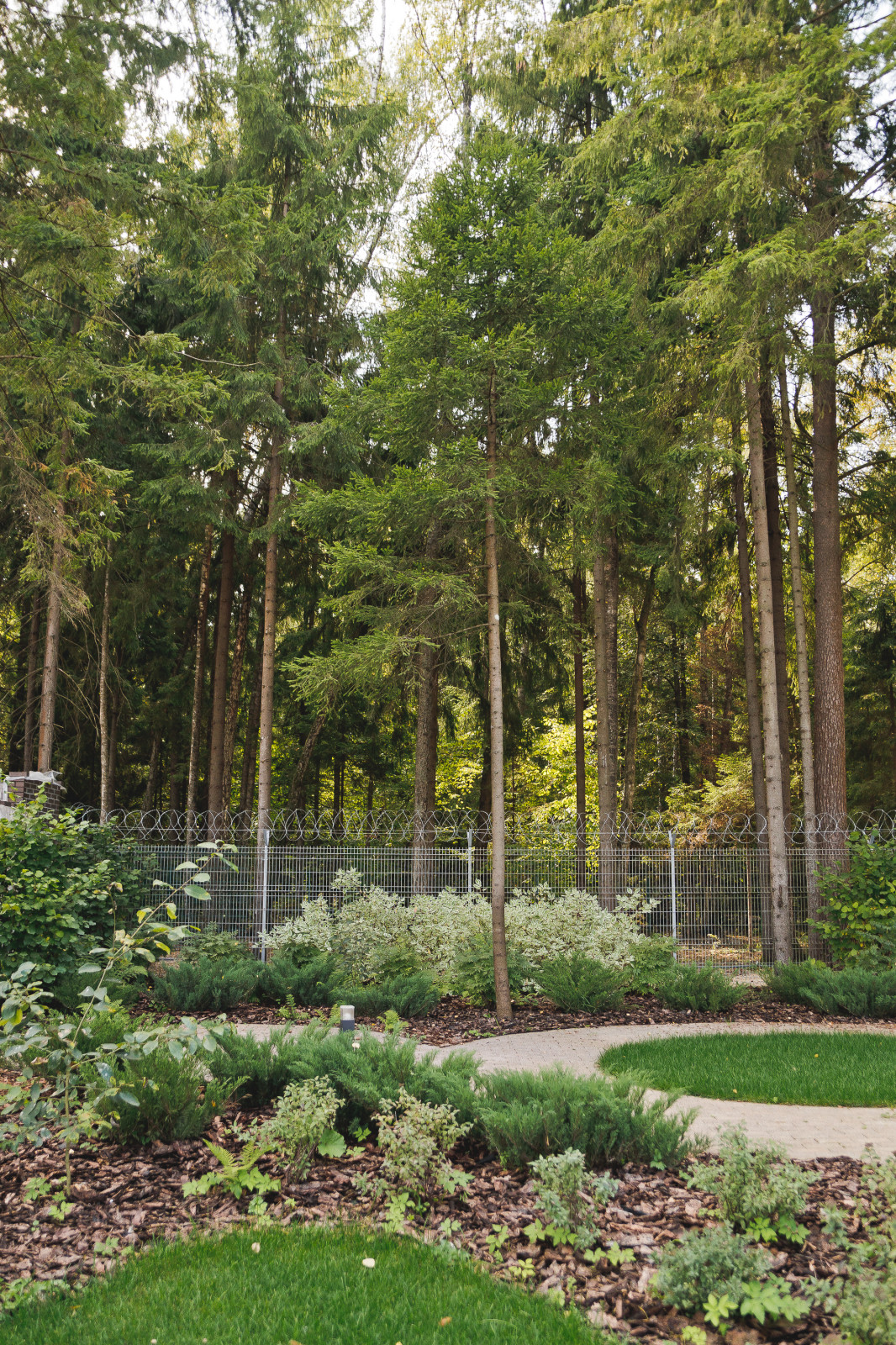 Сад на краю леса