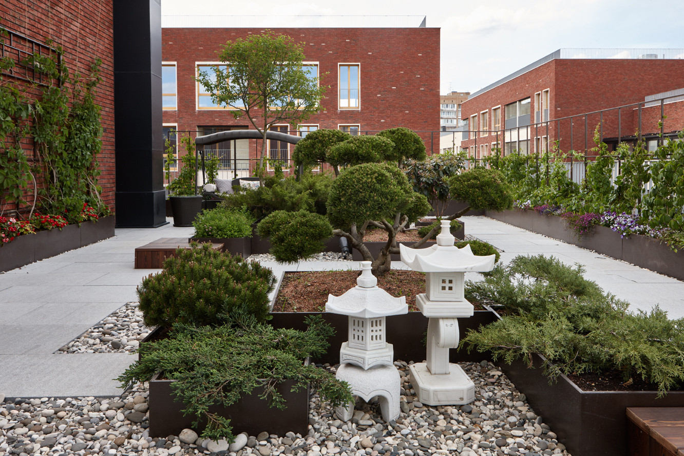 Зеленые кровли. Green roof