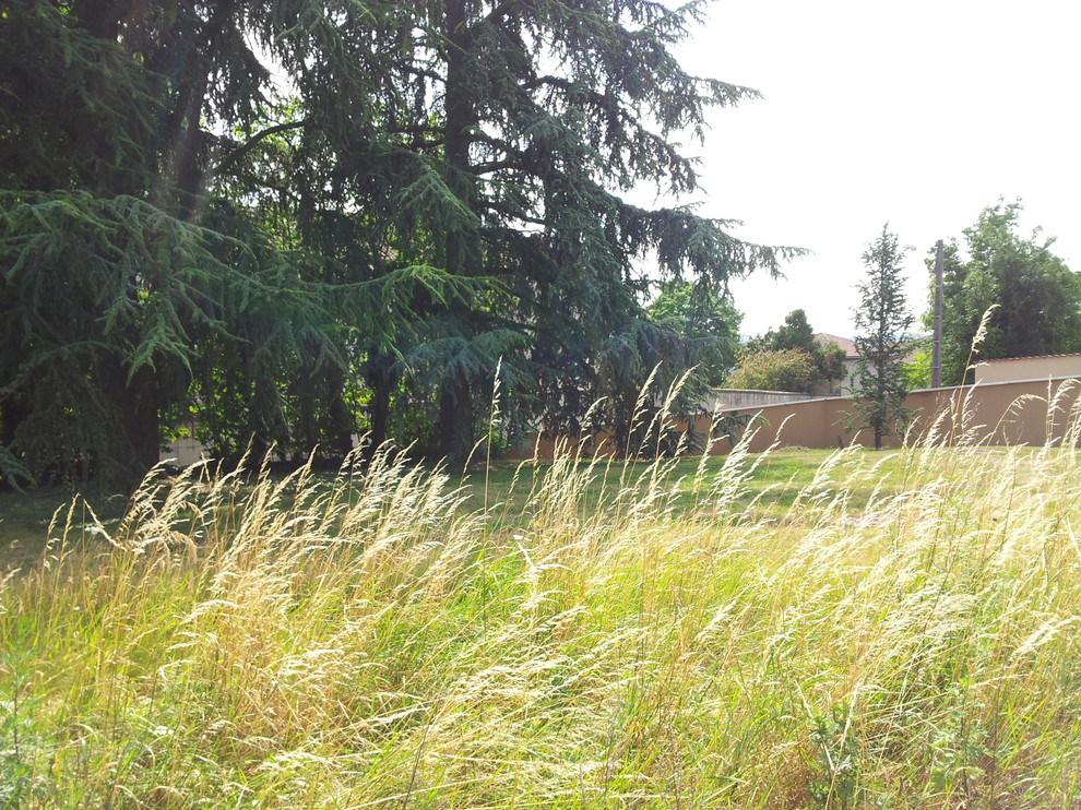 Хороший вопрос: А стоит ли бороться с сорняками на дачном участке