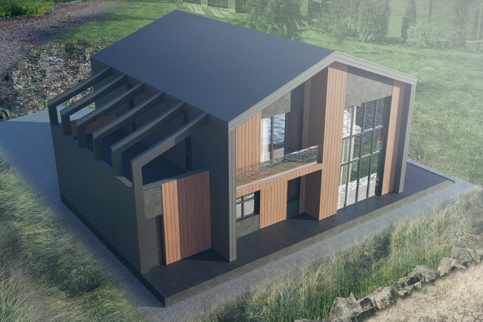 Концепция загородного дома, пример начальной-вариативной стадии проектирования.