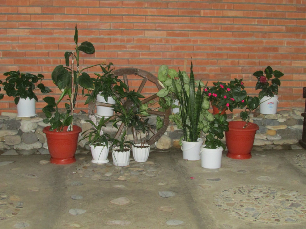 дизайн двора