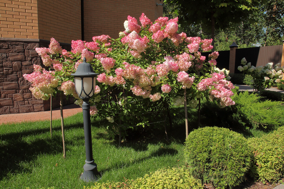 Обложка проекта: Заветы Ильича. Солнечный сад с беседкой спроектированной в стиле дома.