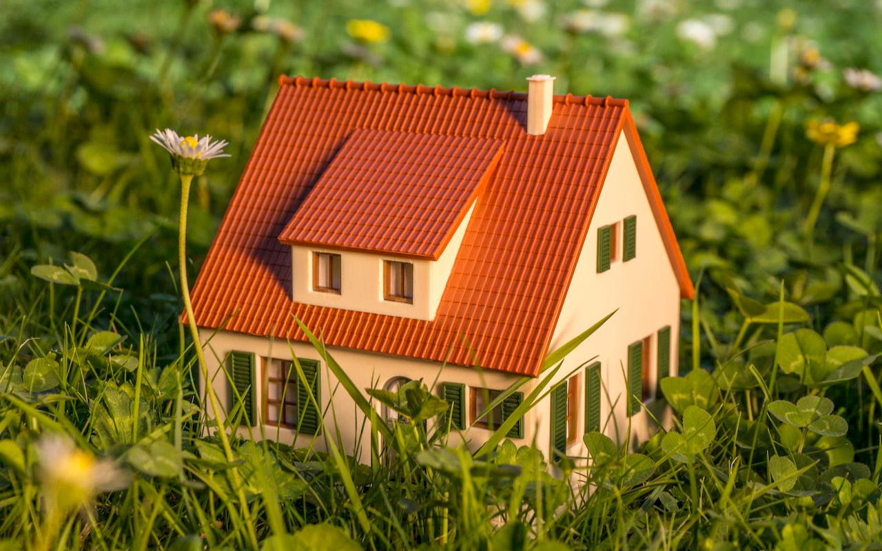 ООО Ромашка