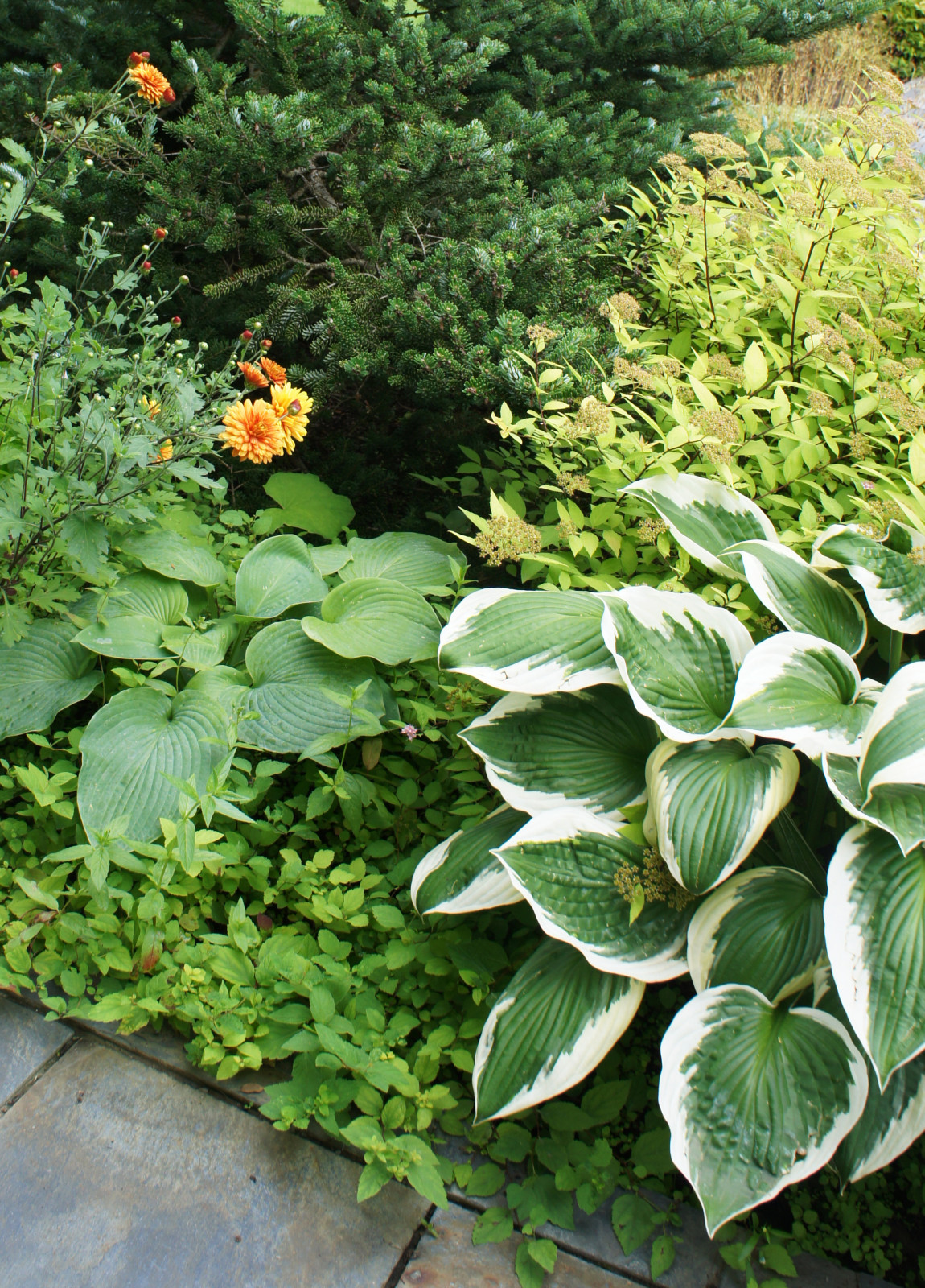 Участок 30 соток