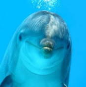 Ирина Туфар