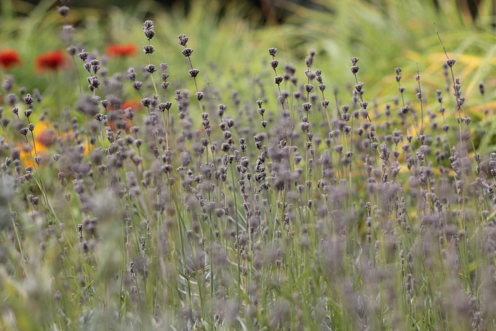 Ландшафт в деталях