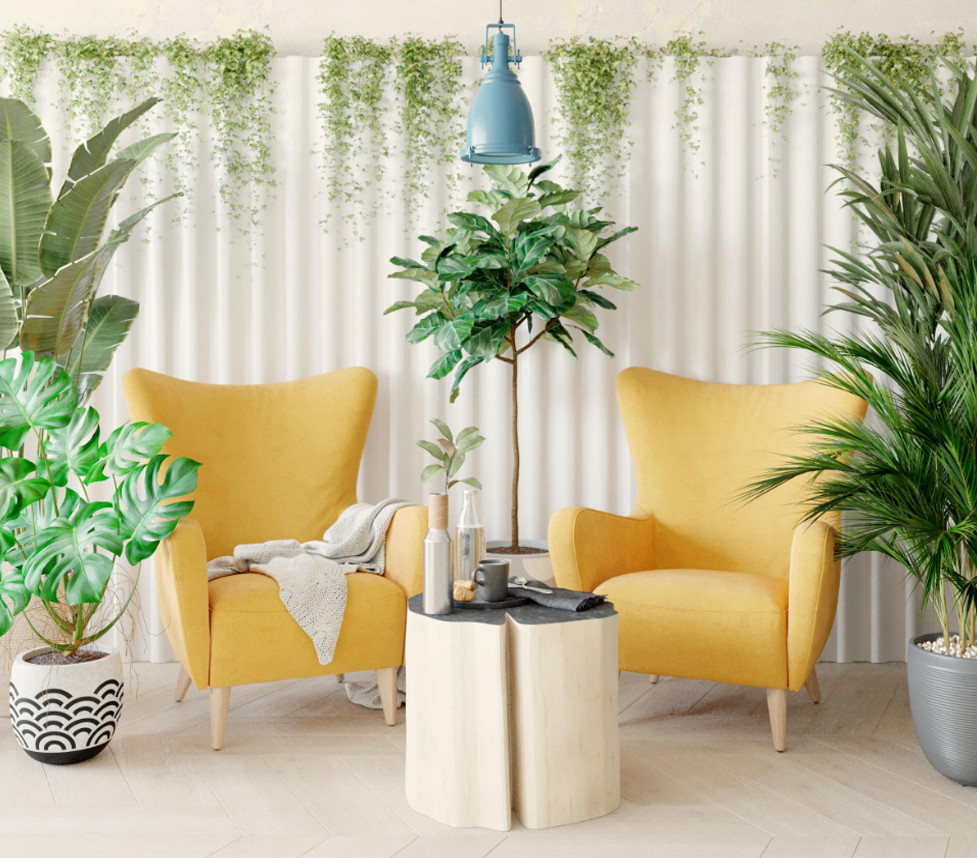 Дизайн кофейни