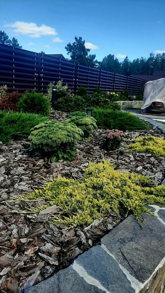 Обложка проекта: Зубарево