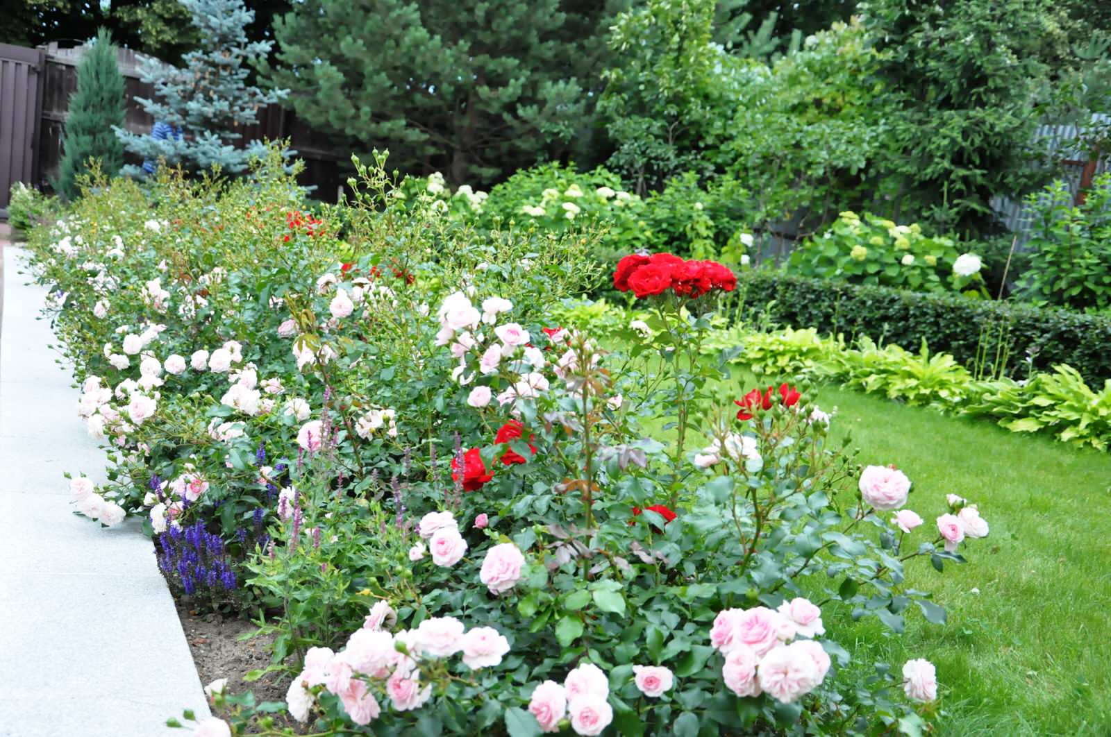 д. Громково - Уход за садом - 100% качество