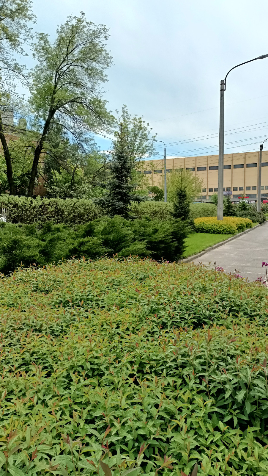 Городское озеленение .Территория производственного комплекса на Баррикадной