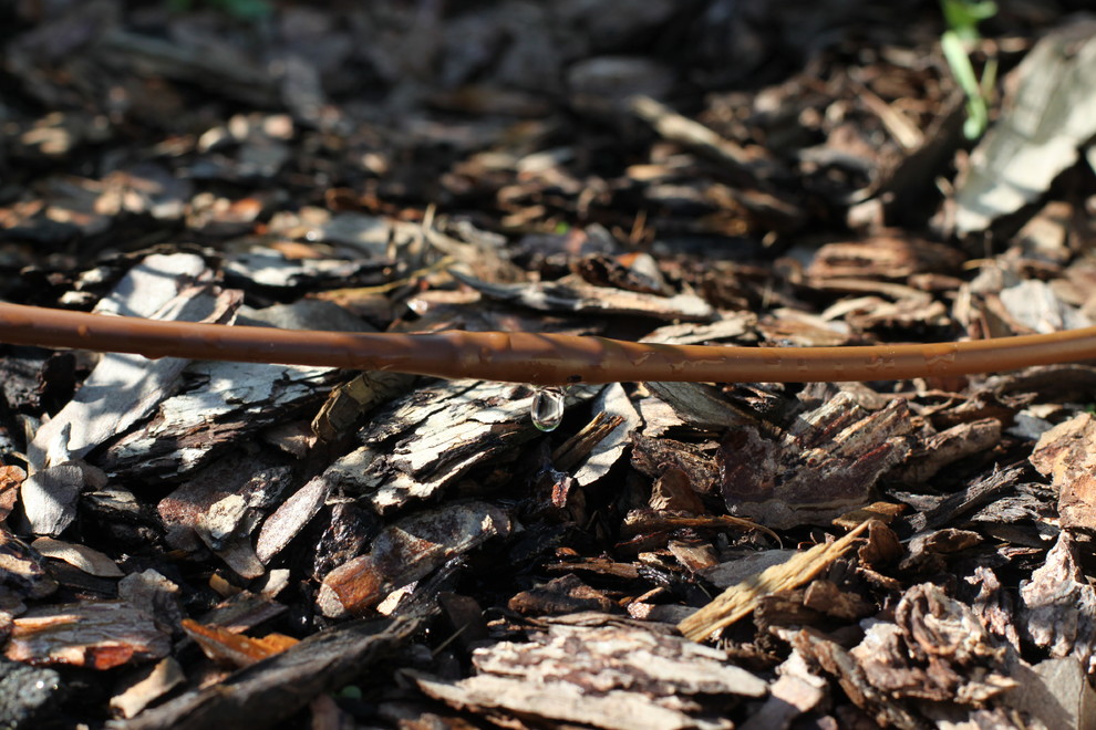 Обложка проекта: Проект автополива 15 соток