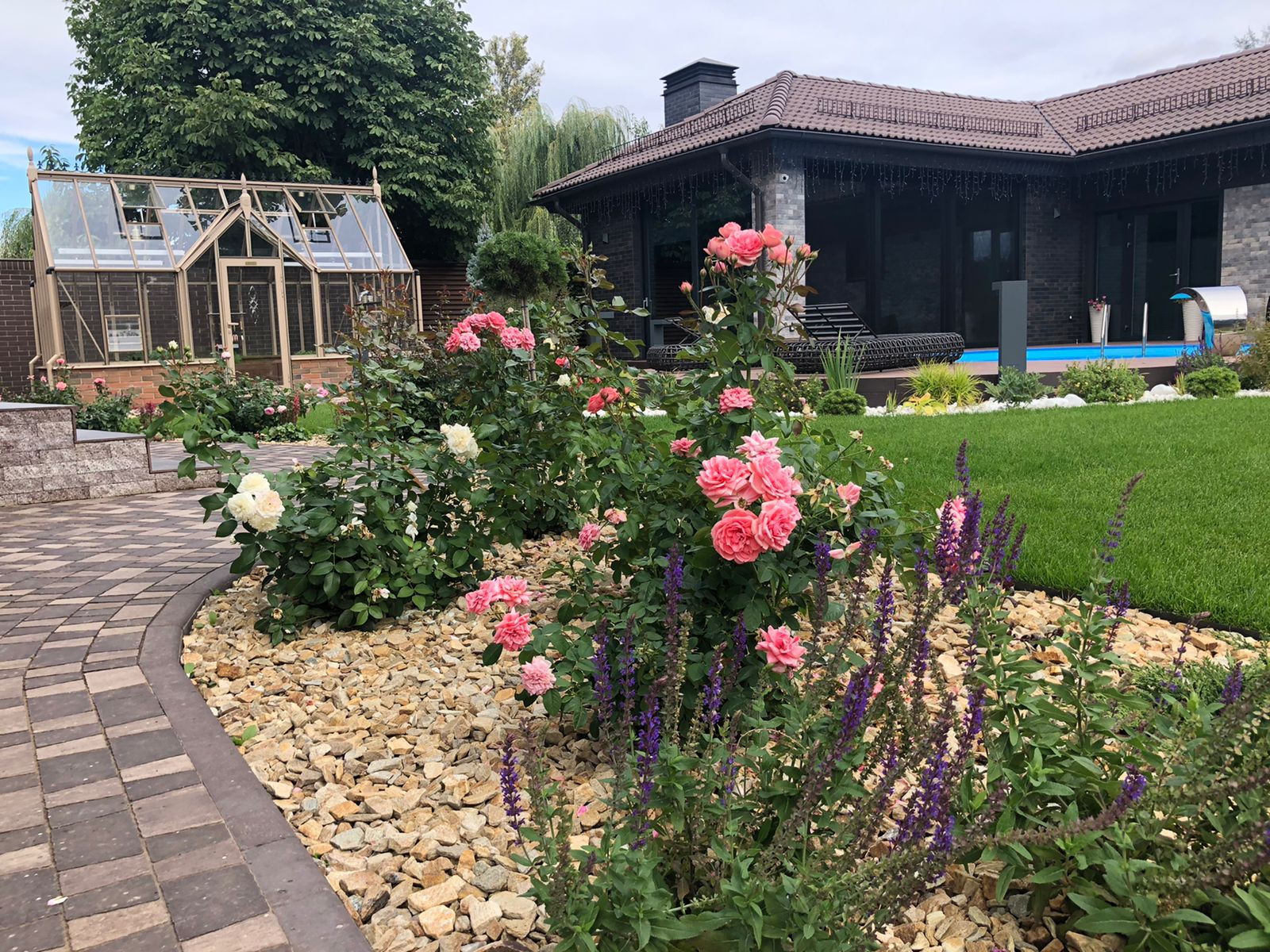 Обложка проекта: Проект «Новый свет»