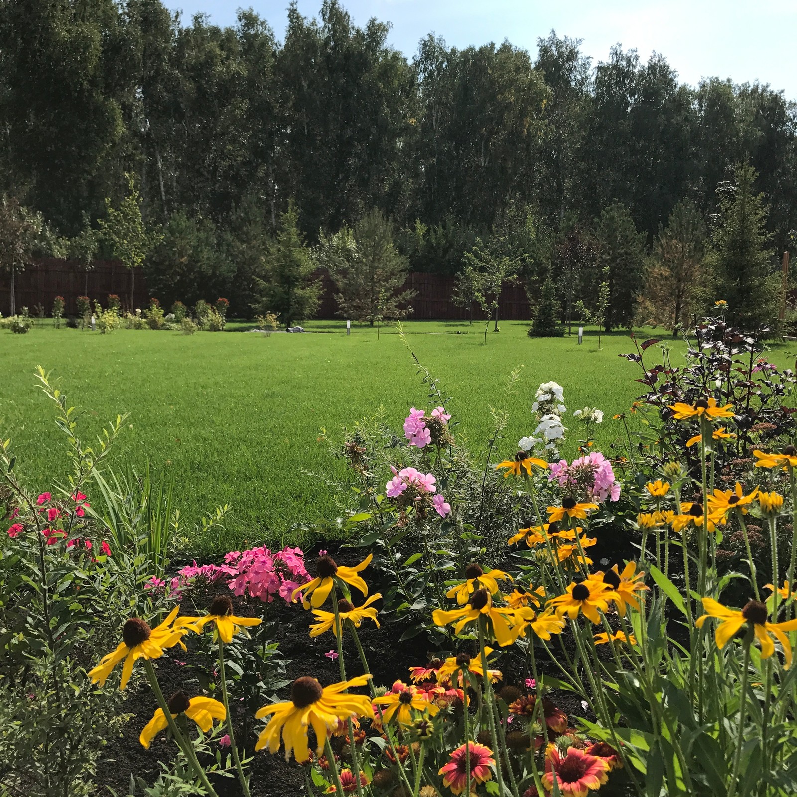 Обложка проекта: Малинки Виладж