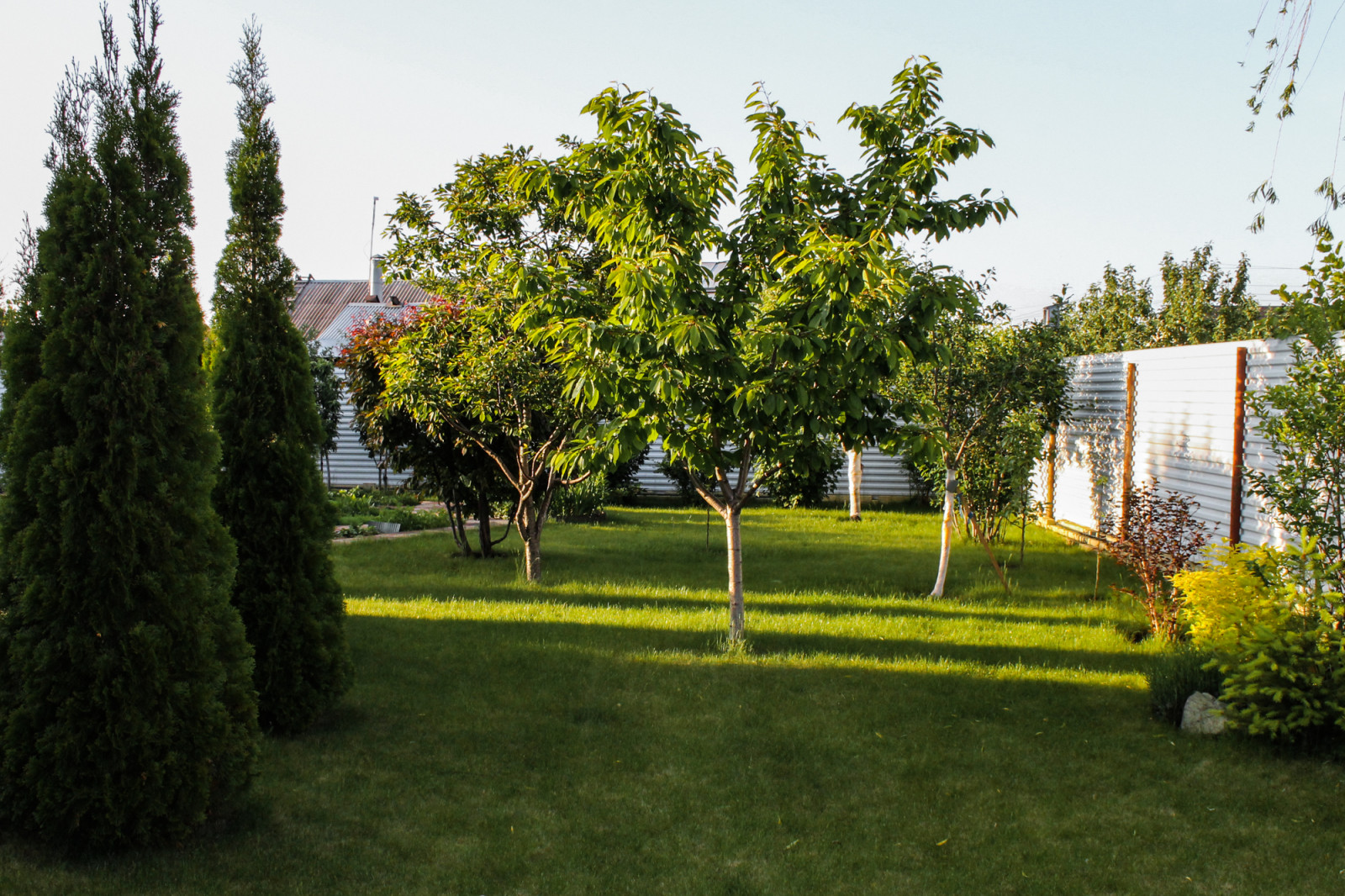 Обложка проекта: Борки I