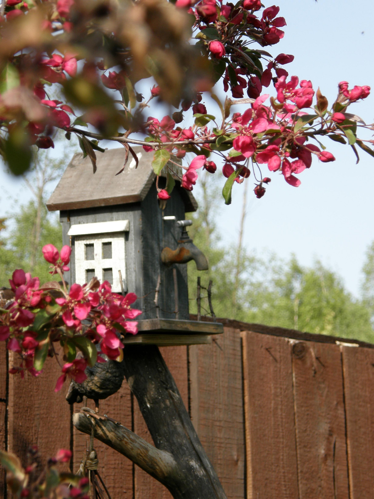Декор в саду. Наши работы прошлых лет.