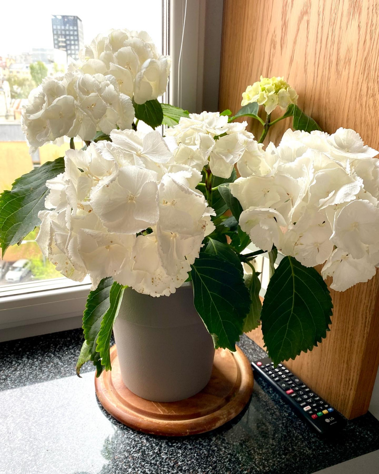 Жизнь в Сталинке