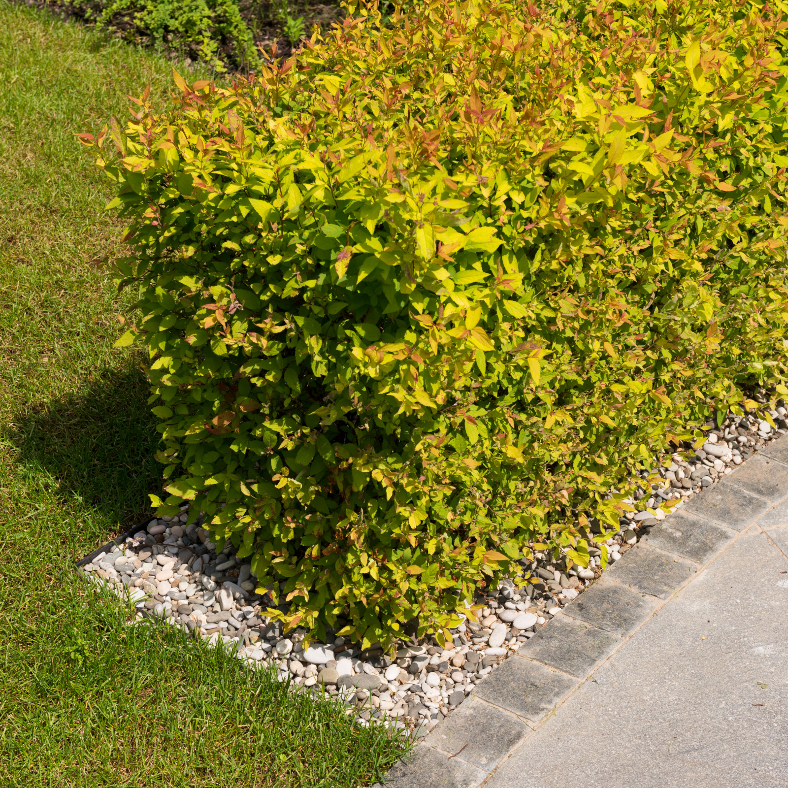 От приезда фуры до готового результата