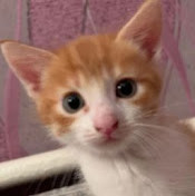 Ульяна Зубкова