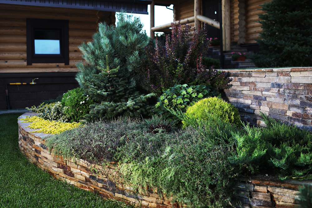 Легкий фьюжн 0.25 га