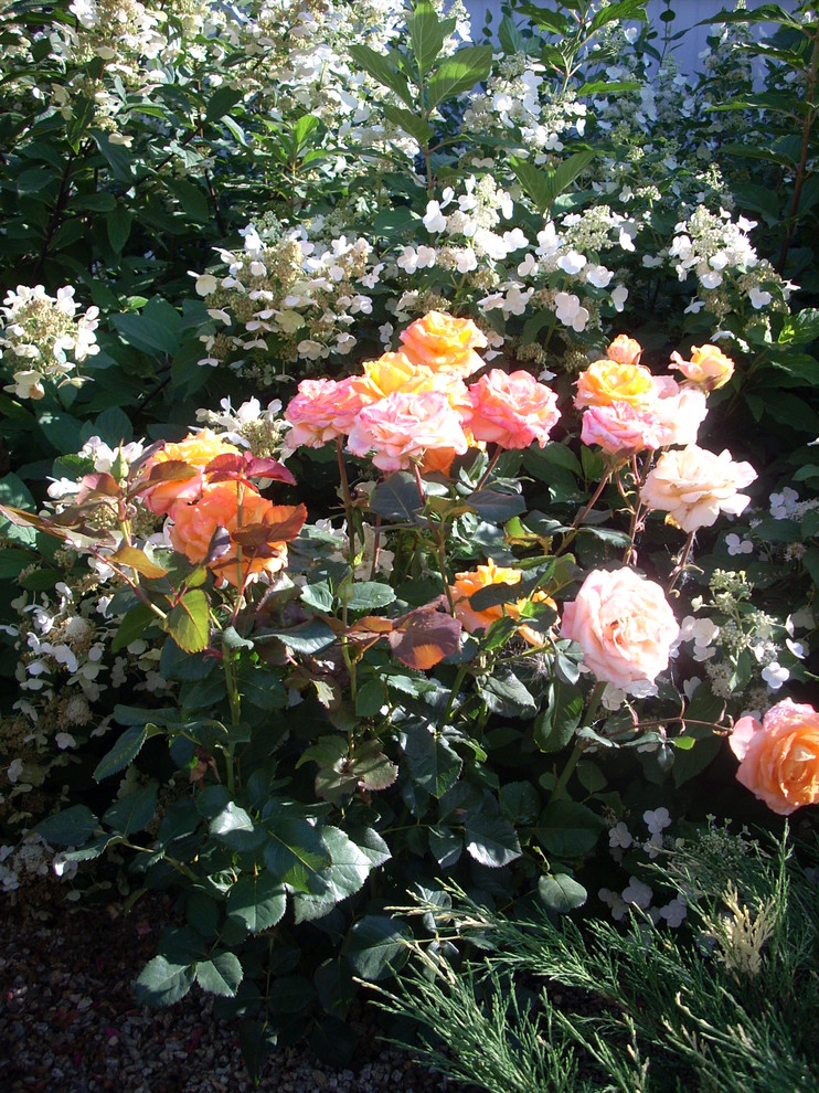 Как правильно: Сочетать растения по цвету на клумбе