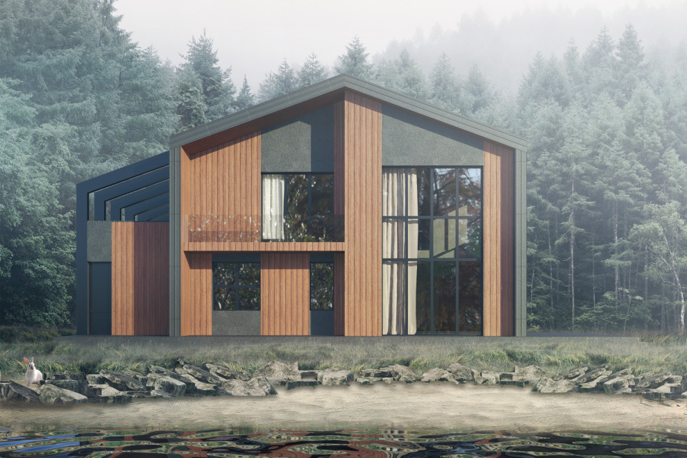 Концепция загородного дома, пример начальной-вариативной стадии проектирования.