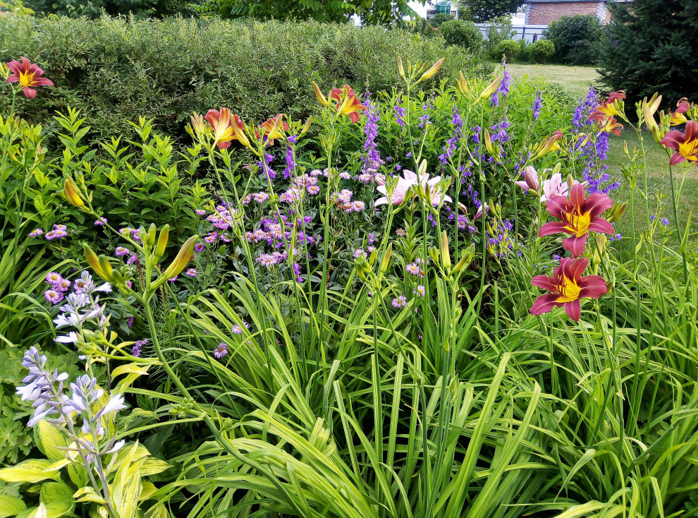 Цветник из многолетников