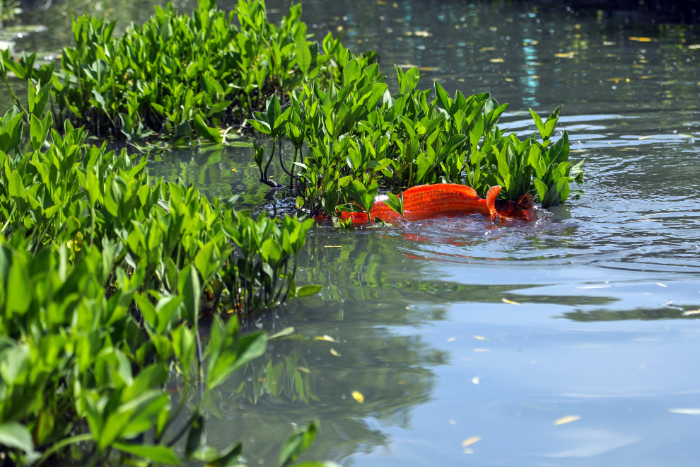 Геометрия природы Moscow Flower Show 2017