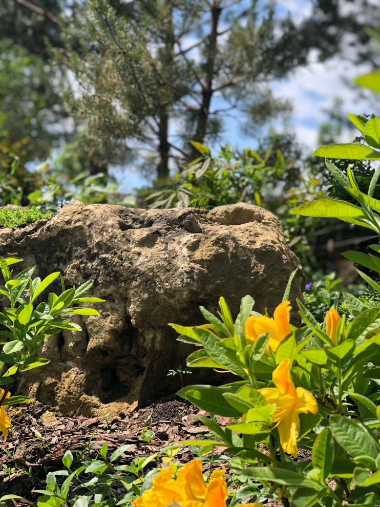 Валун из известника