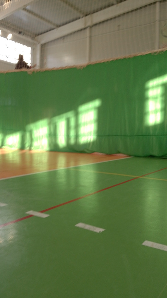 Анна Мосова