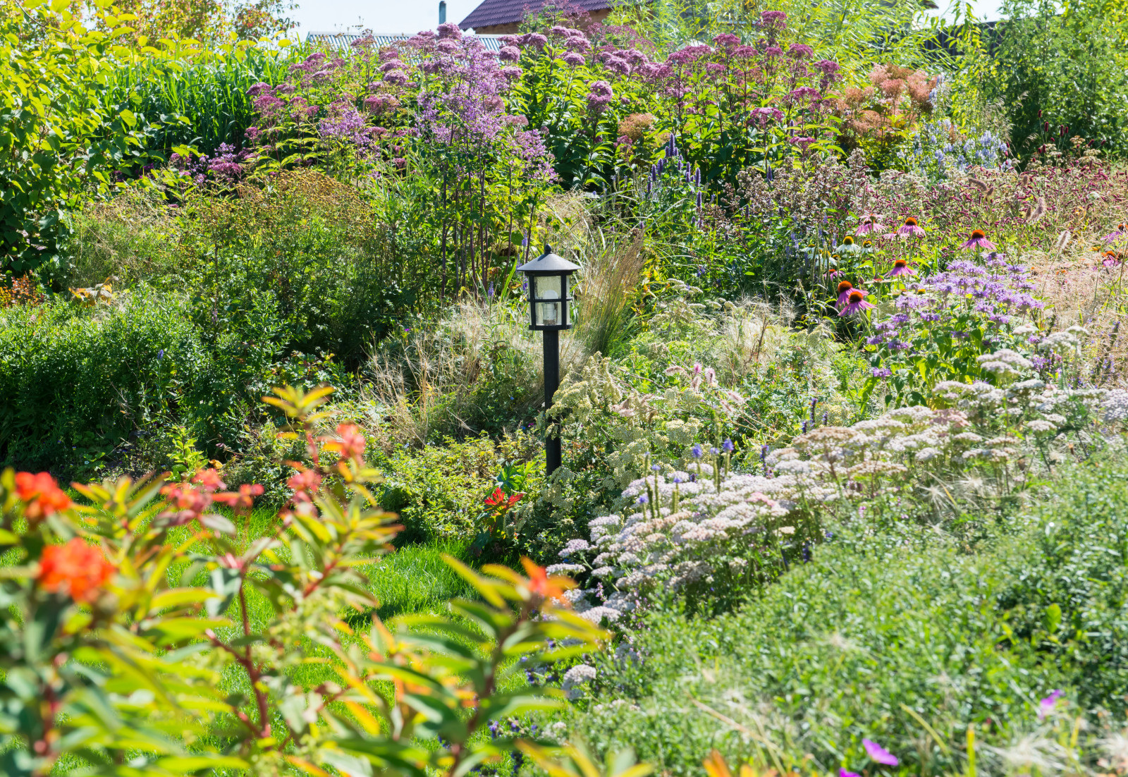 Большой сад в пригороде
