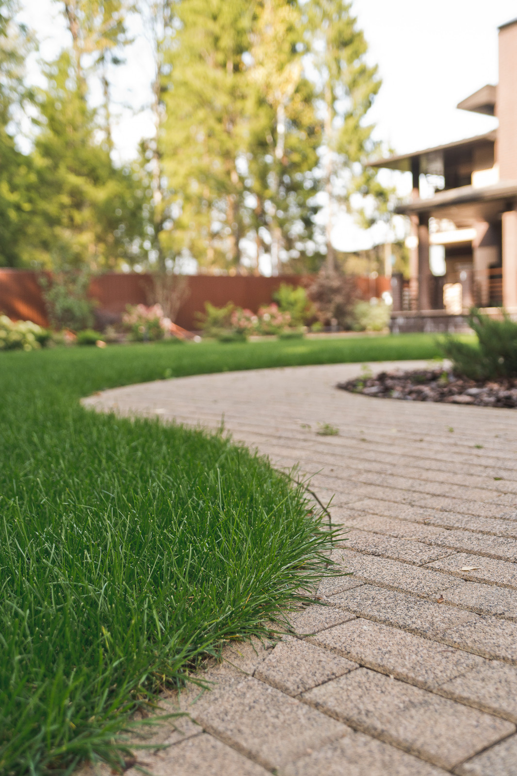 Сад на краю леса