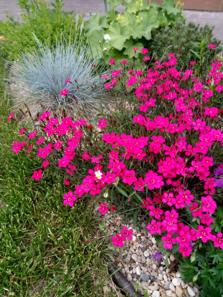 Зелёное удовольствие