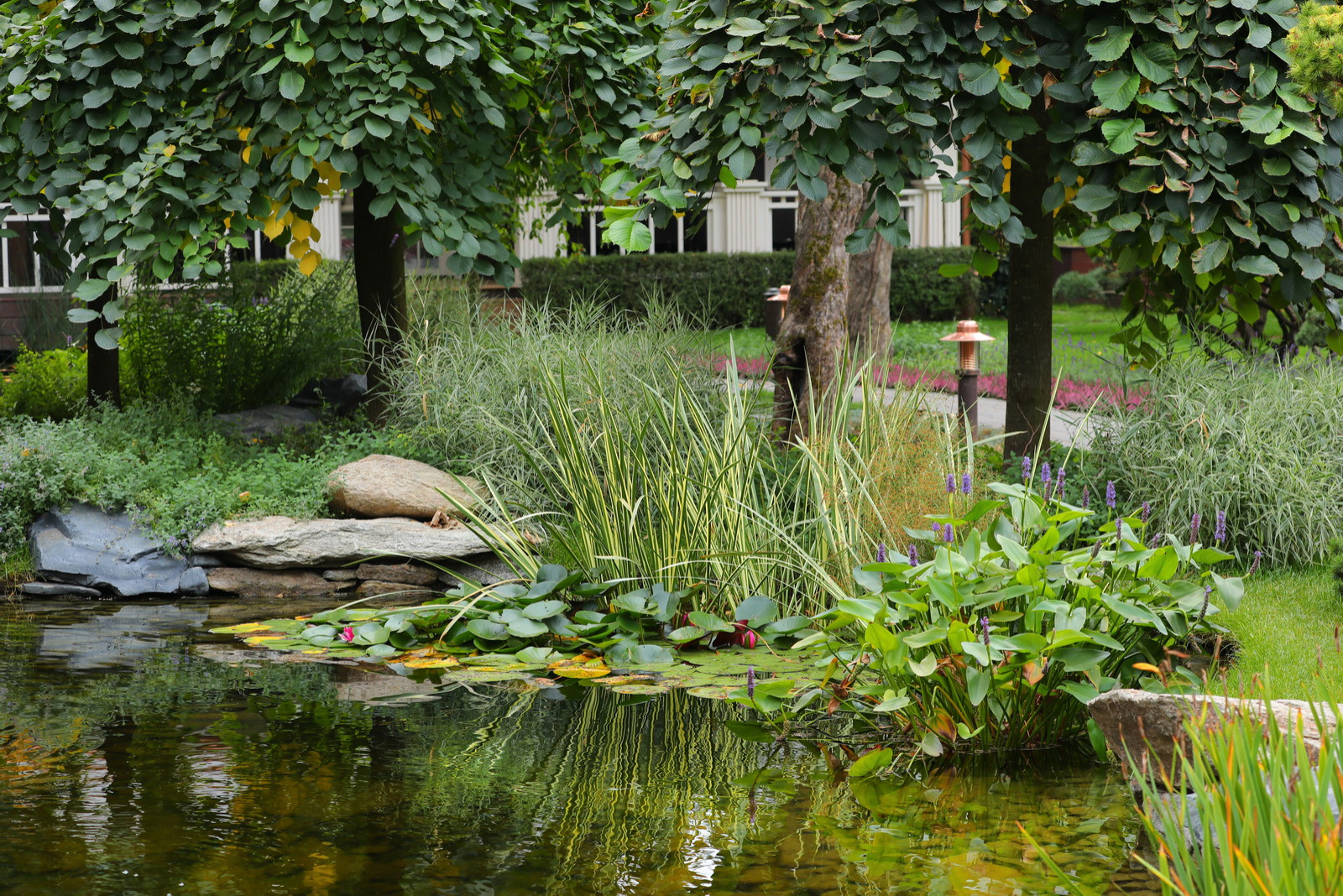 Коттеджный сад в Барвихе (дизайн и исполнение компании "Imperial Garden")
