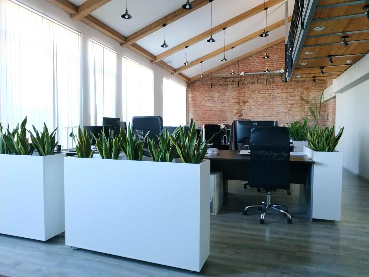 Озеленение офиса компании Кефир