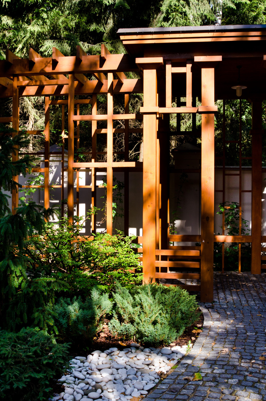 Обложка альбома: барбекю