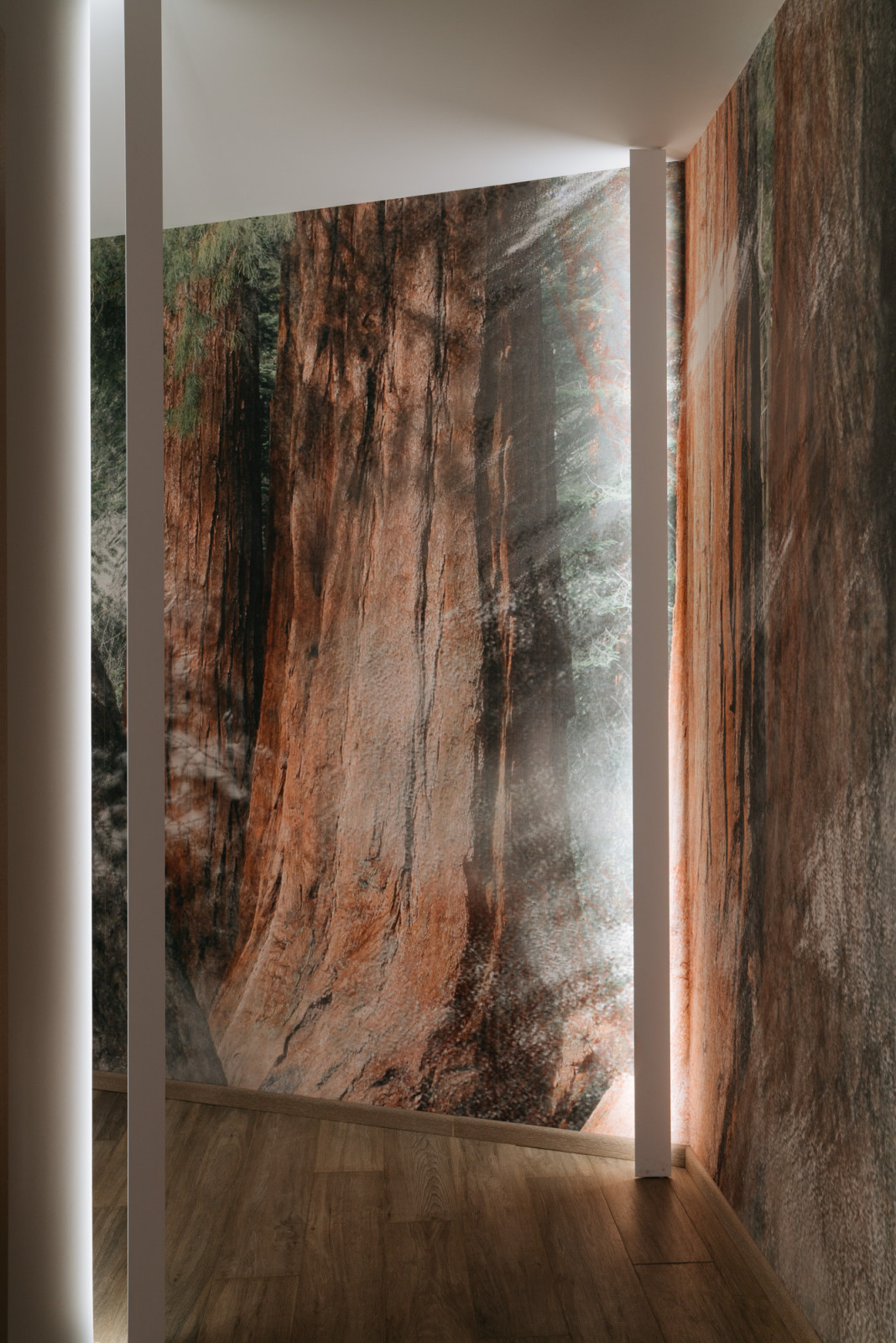 Обложка альбома: Идеи пользователя Сергей