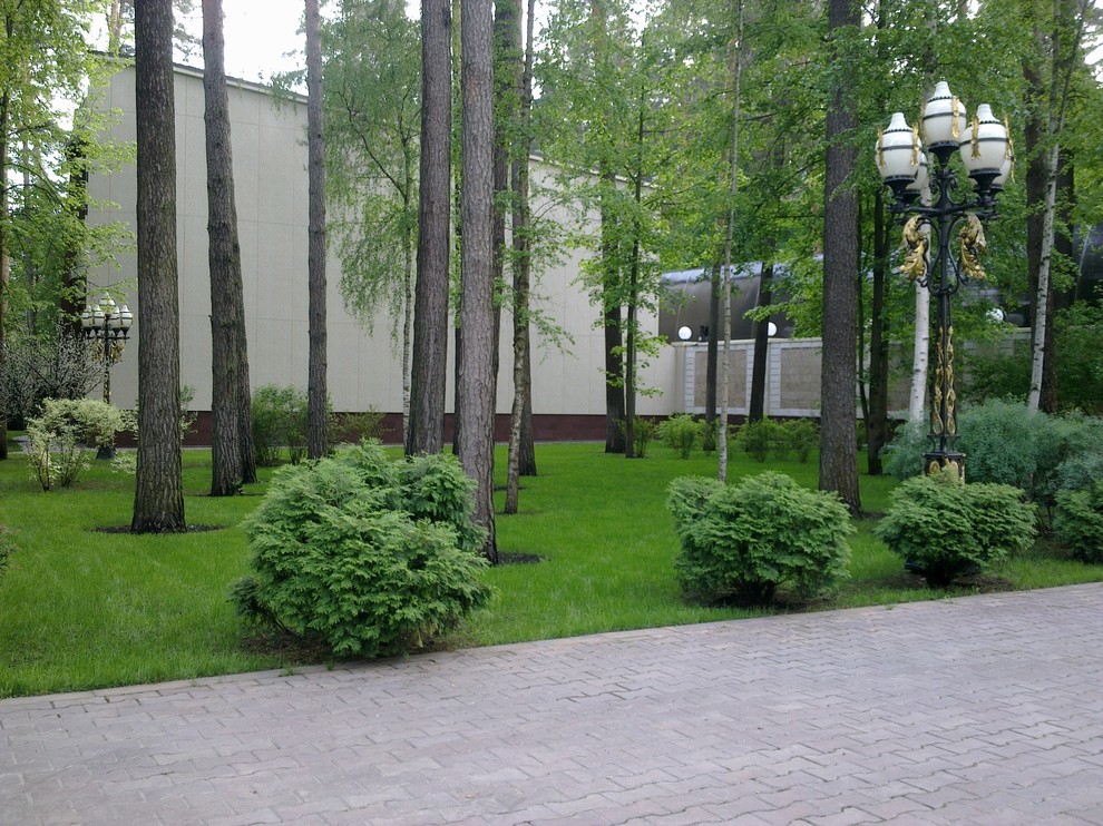 Ландшафтный дизайн 40 соток