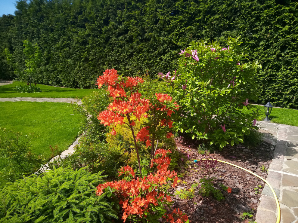 Обложка проекта: Уход за растениями г. Калининград