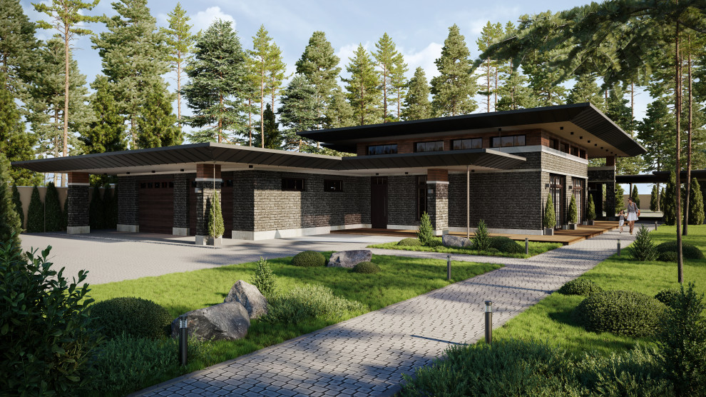 Обложка проекта: Pine forest