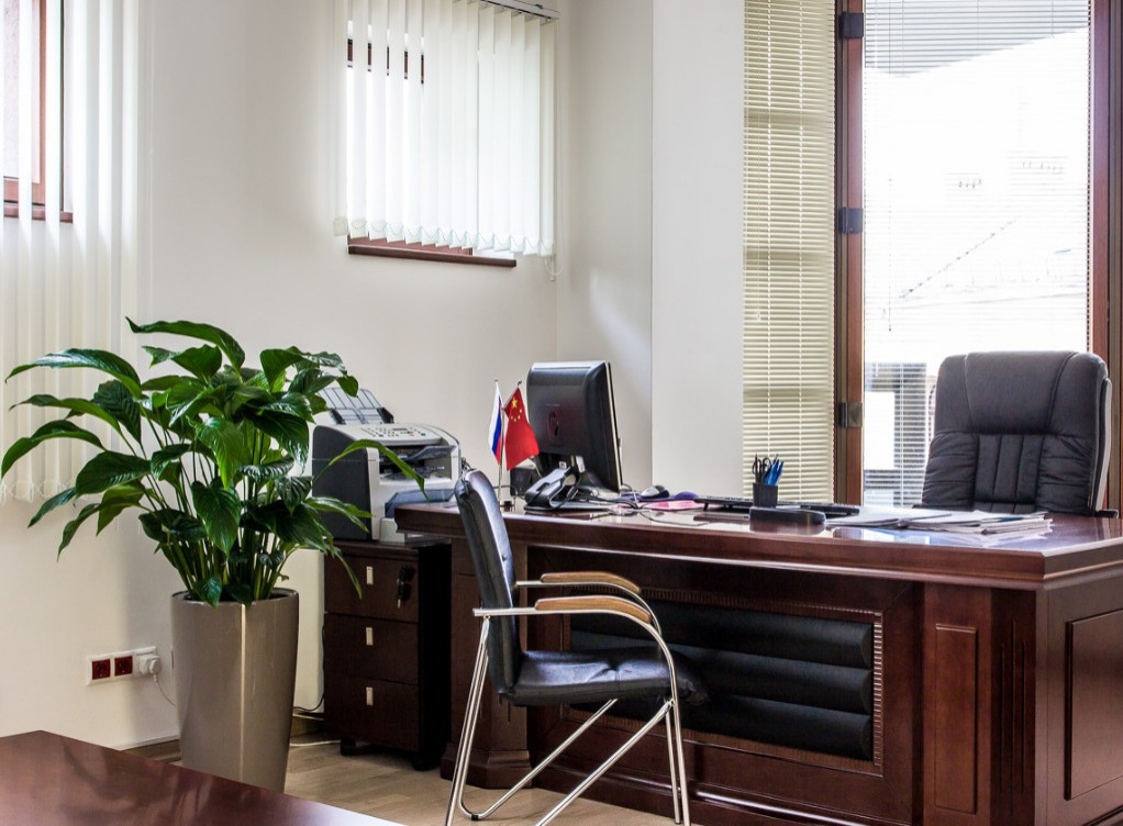 Обложка проекта: ОФИСНОЕ ОЗЕЛЕНЕНИЕ