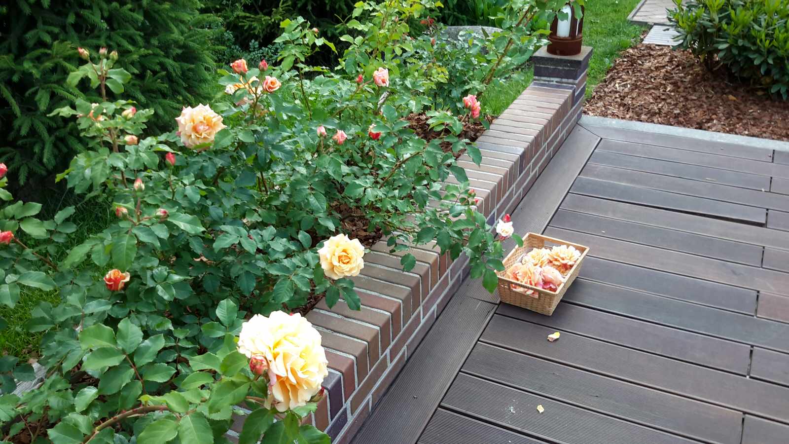 Уход за участками и проектирование