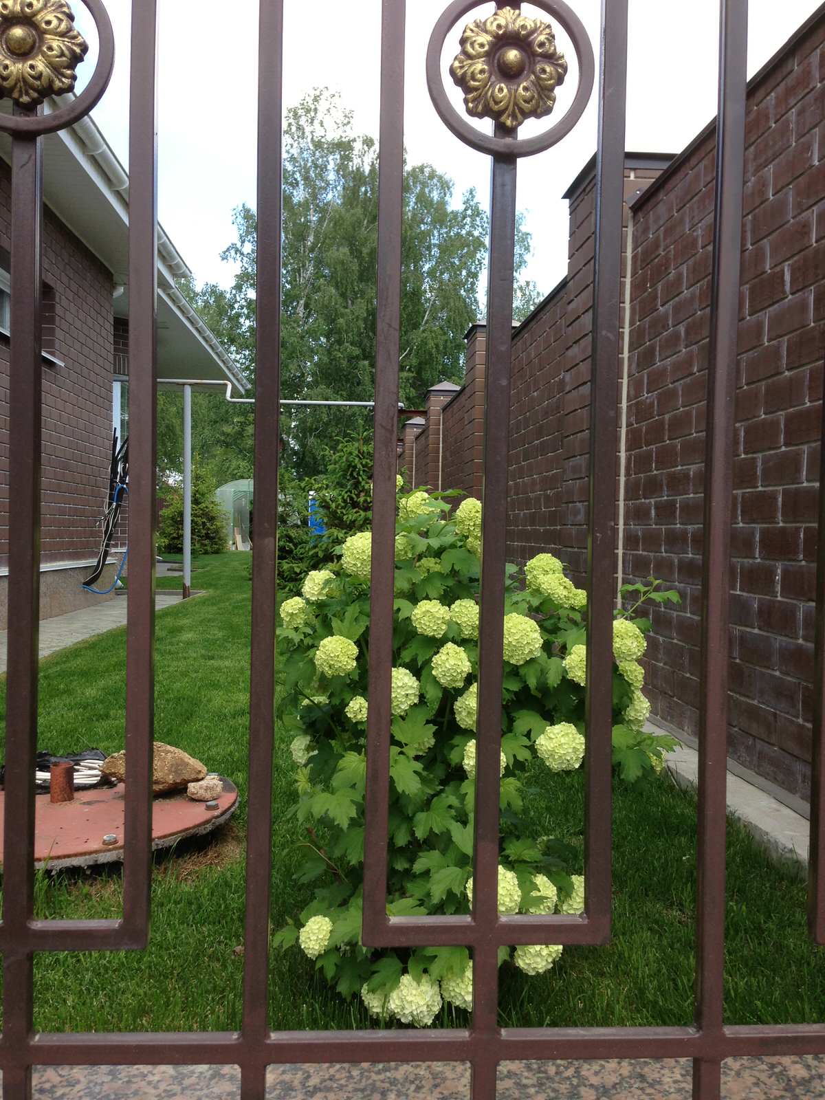 Вавиловец 1