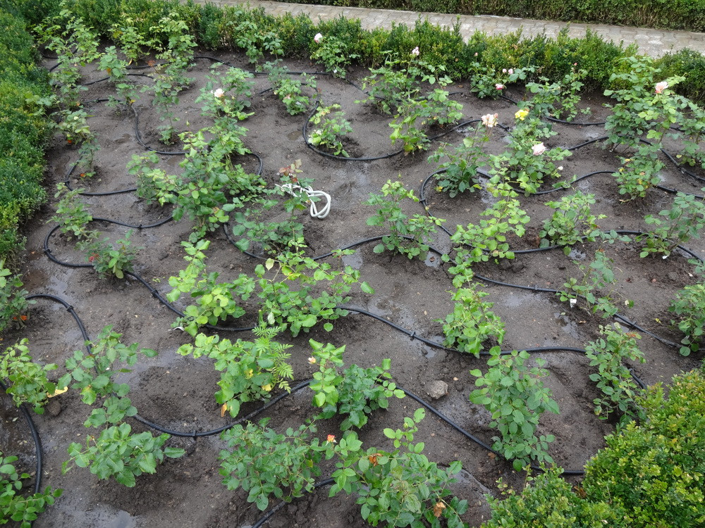 Капельный полив