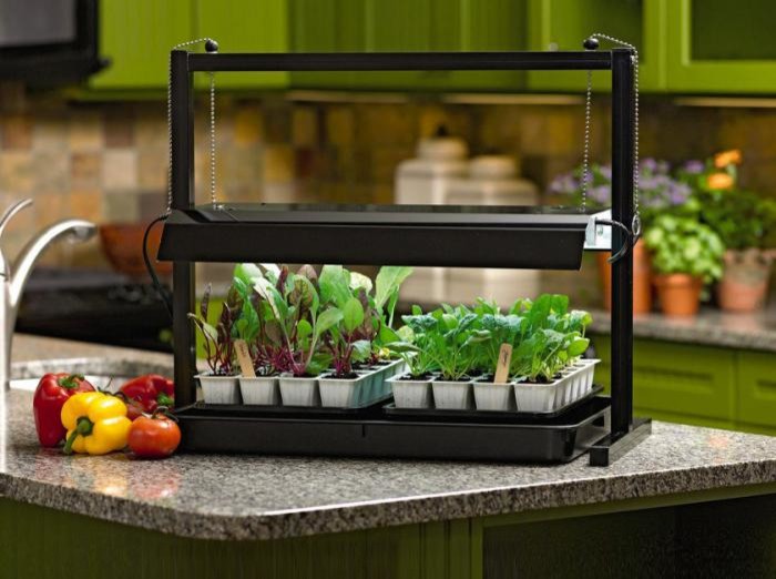 Весна идет: Основные правила выращивания рассады