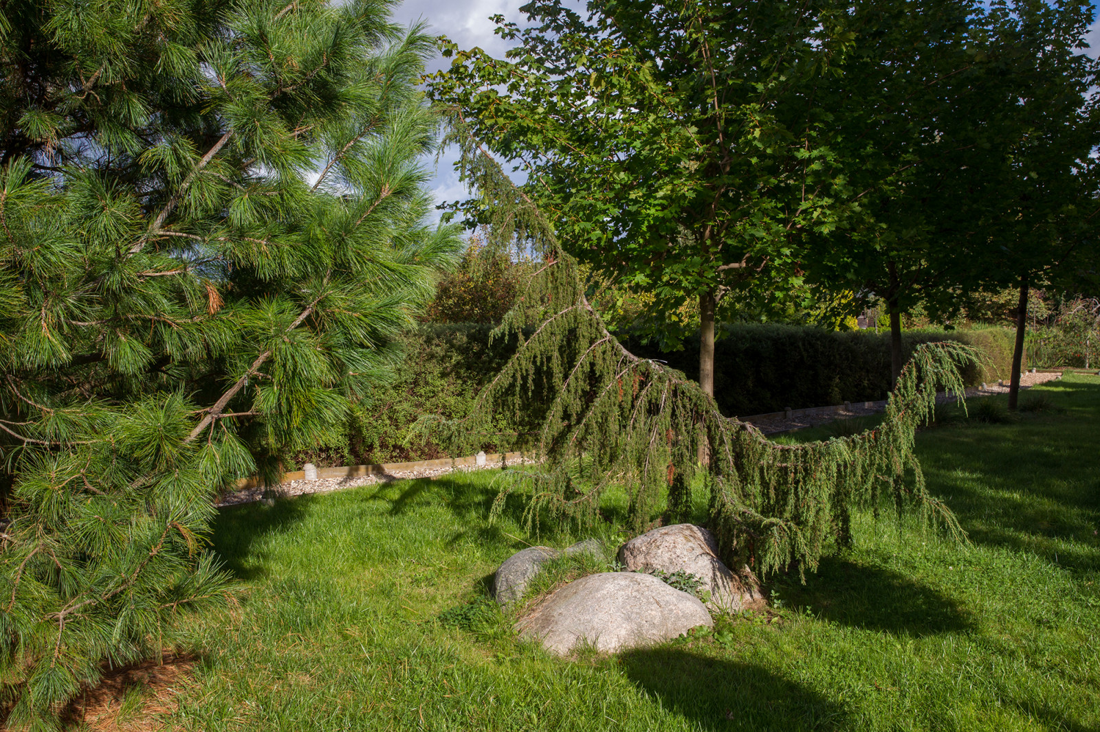 Парк в  Шаховском районе