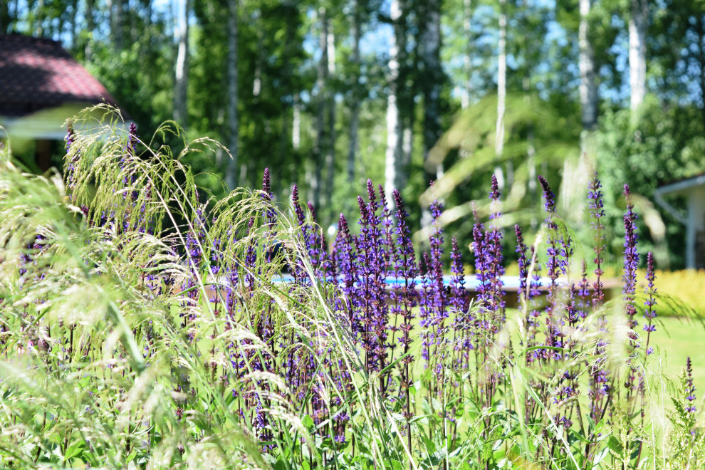 "Лесная сказка"