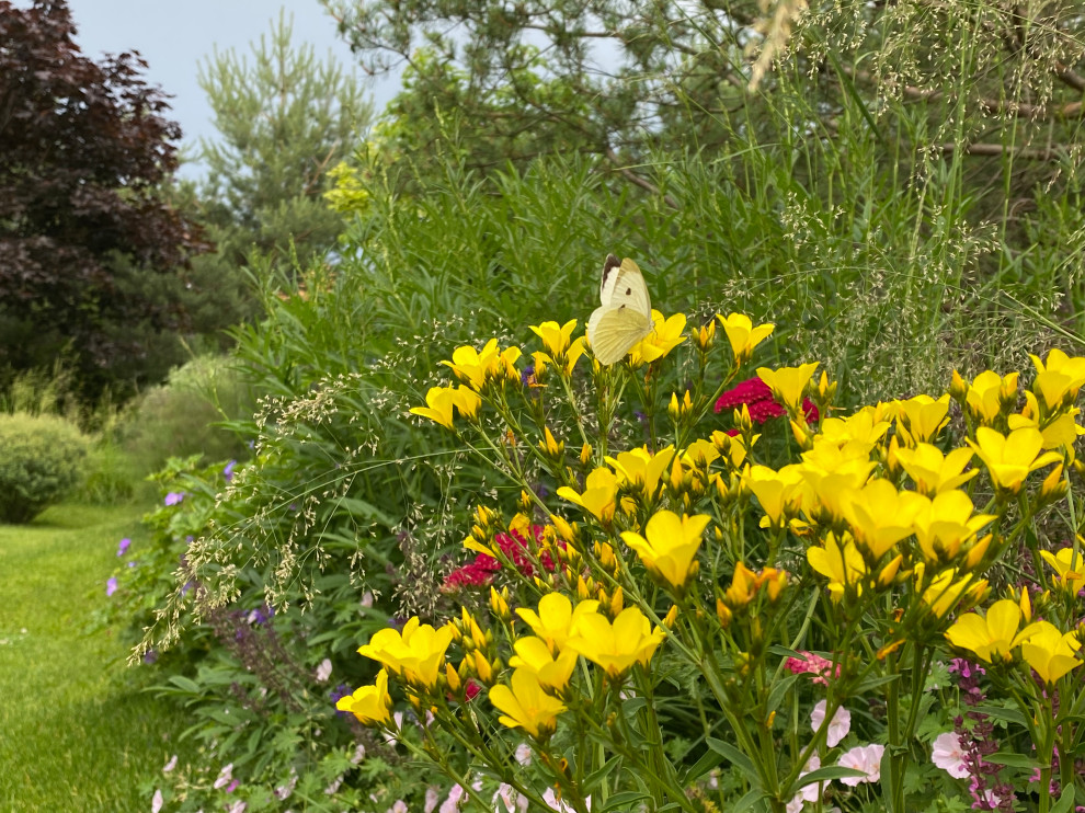 КП Пестово "Evergreen'