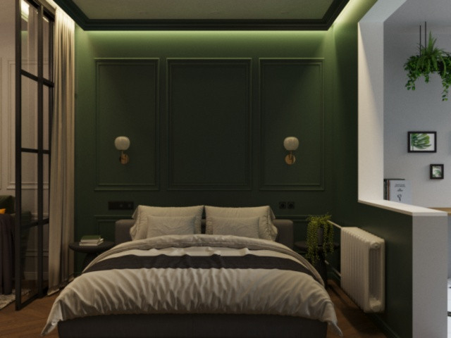 Квартира -студия для молодого человека(в реализации)