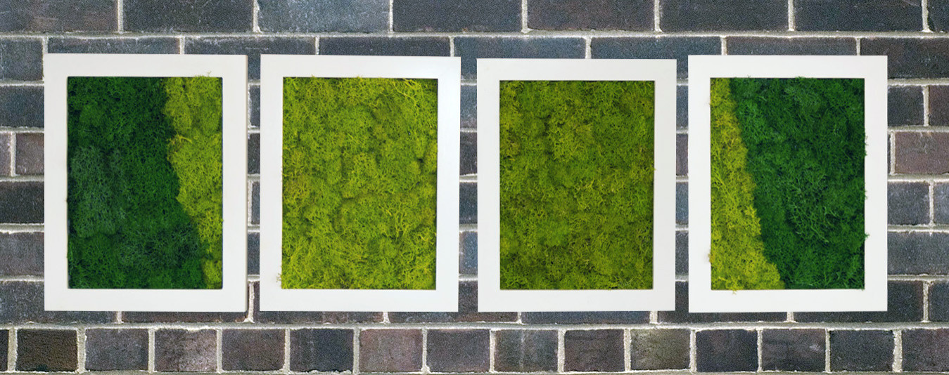 Фитокартины из мха